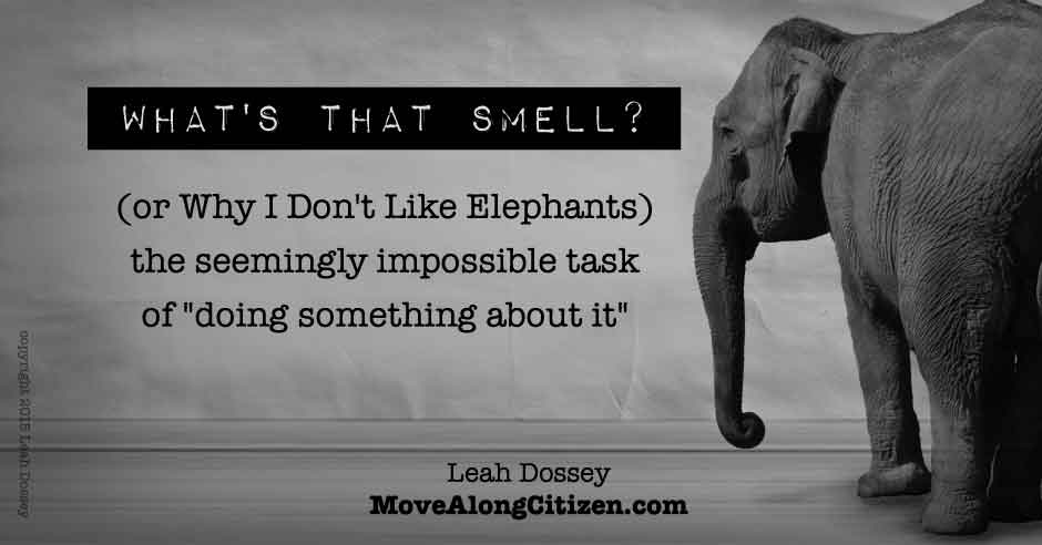 What Is That Smell? Or Why I Don't Like Elephants