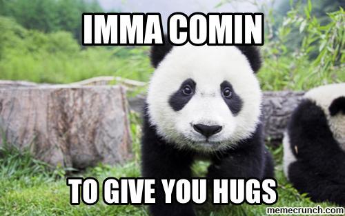 Panda Hug Meme